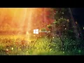Best Ultra Live Wallpaper for Windows 10 Aesthetic PC Setup