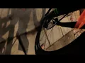 INNA  -  Bar   Boys /Exclusive Online  Video
