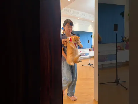 They Offered Her Toys… But Wanted Her Cat!