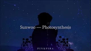 Download Sunwoo of THE BOYZ (더보이즈) – Photosynthesis (광합성) Prod. CyA | Lirik Terjemahan Indonesia MP3