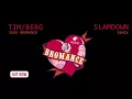 Tim Berg aka Avicii - Seek Bromance (Slamdown Remix)