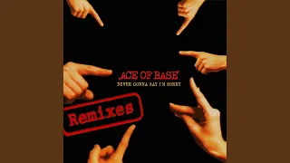 never gonna say im sorry long version 