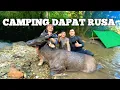 Download Lagu Camping Dapat Rusa Hujan Deras 3 Hari Pertualangan Menjelajahi Hutan Tropis Bermalam Masak Dan Makan