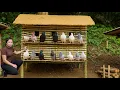 Lagu Making a Pigeon Cage from Bamboo and Clay – Simple and Surprisingly Beautiful!
