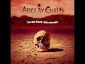 Alice in Chains - Them Bones - Wolf Remix