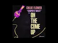 Chopin's Waltz -  Chloe Flower