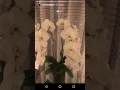 Download Lagu John Mayer on Instagram Stories- April 10,2017