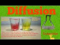diffusion experiment MOLECULAR DIFFUSION EDDY DIFFUSION USING FOOD DYE -CHEMO U-Tube