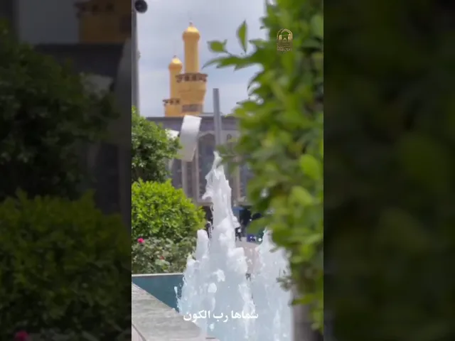 ⁣زينب شمس وتنور .. الها الحفل معمور  #جامعة_آل_البيت_العالمية #اكسبلور #لايك #ترند #زينبيات