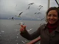 yagmurun elleri / yeni türkü