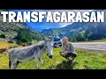 Download Lagu 🇷🇴 THE MOST BEAUTIFUL ROAD IN THE WORLD (Transfagarasan Highway, Romania)