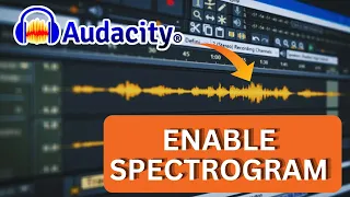 How to Enable Spectrogram in Audacity 2025