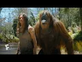 Download Lagu Kingdom of the Planet of the Apes Extended Preview (2024) | Fandango at Home