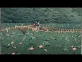 nohidea. - promise