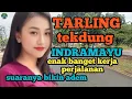 Download Lagu TARLING TEKDUNG INDRAMAYU_ENAK BANGET MENGHIBUR KERJA PERJALANAN ADEM @toyobringin3238