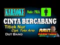Download Lagu CINTA BERCABANG Titiek Nur KARAOKE Nada PRIA