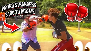 Paying RANDOM Strangers $100 If They Can KNOCK ME OUT!