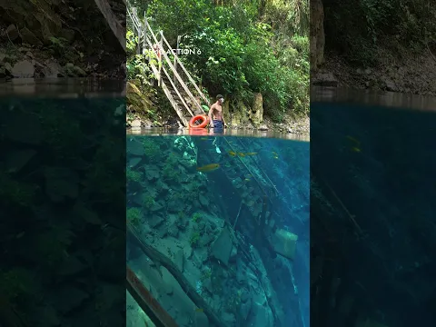 Walk In. Colors Stay True. | DJI Osmo Action 6