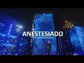 Murilo Huff  -  Anestesiado DVD FORTALEZA