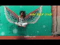 Download Lagu Way Back Home - Slow Remix