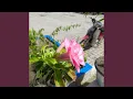 Download Lagu Takdir Kita Telah Berubah