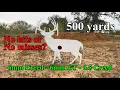 Lagu 500 yard Ethical Hunter Challenge 14