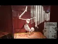 Orlando Rainy Day Ideas The Skeleton Museum