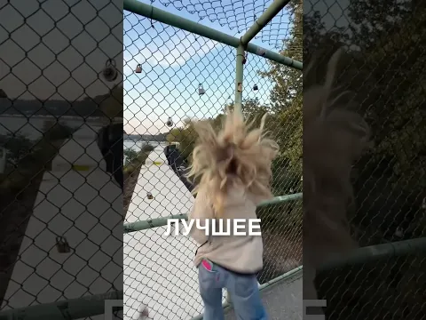 Играет в Сабвей серф 😂 #истории #история #новости #новость #shorts