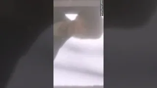 مصاصة دماء جميلة عمرها 500 سنة تشم رائحة شاب لتحيي غرائزها لافتراسه ملخص فيلم 