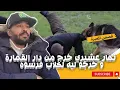 Lagu نهار عشيري خرج من دار ديال القمارة و خرجو ليه لكلاب فرسوه 