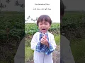 Download Lagu \