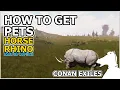 How to get pets Horse Rhino Isle of Siptah CONAN EXILES