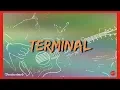 Download Lagu Franky Sahilatua feat. Iwan Fals - Terminal - Cover by BROTHERHOOD PROJECT Feat. AFIF