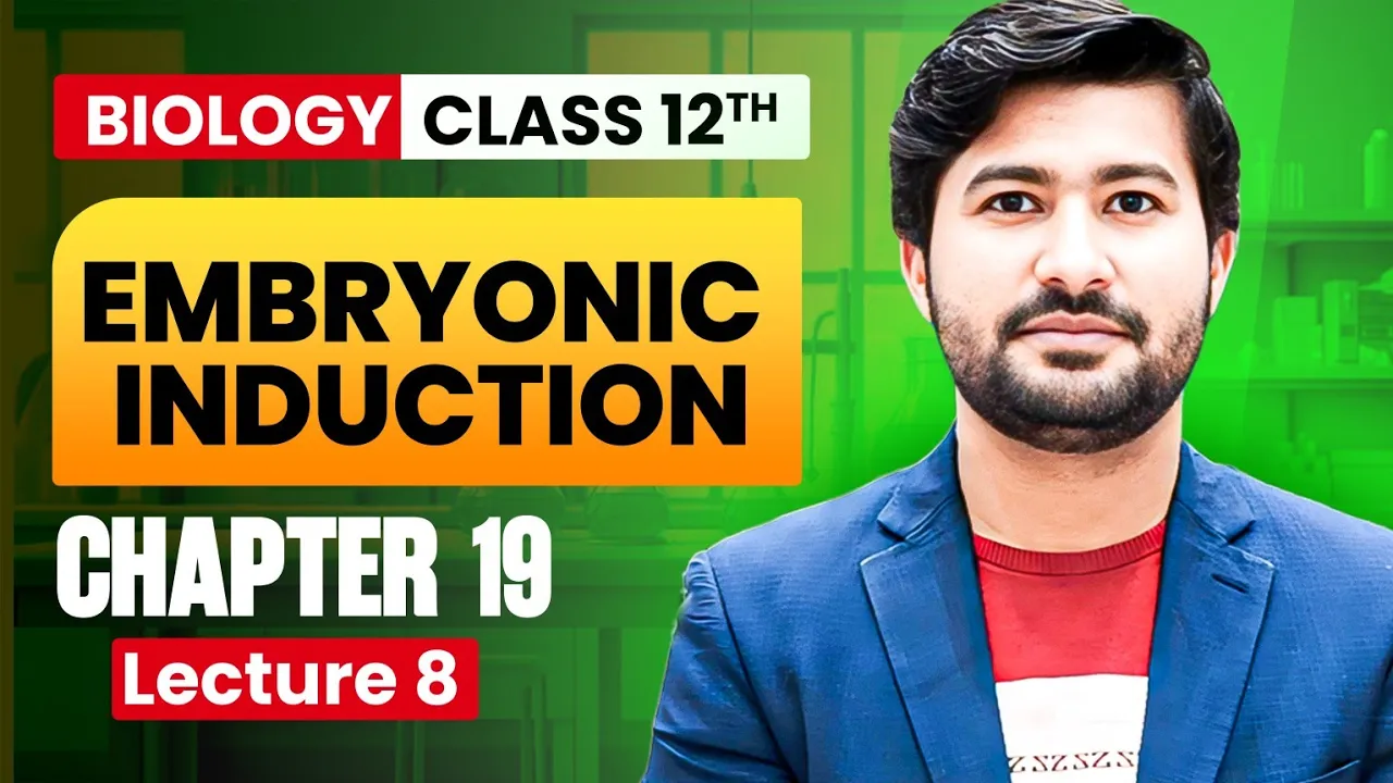 Embryonic Induction | Embryonic Induction Spemann experiment class 12 | irtisams biology