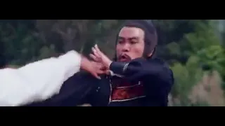 snake in the eagle shadow part 2 kung fu final fight kung fu