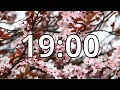19 Minutes Timer with Music Cherry Blossom Timer