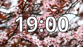 19 Minutes Timer with Music Cherry Blossom Timer