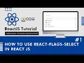 How To Use React Flags Select In React React Country Flag Select