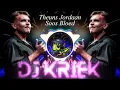 Download Lagu Theuns Jordaan - Soos Bloed (DJ Kriek Remix)