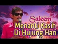 Download Lagu SALEEM - Menanti Kasih Di Hujung Hari | Video Lirik
