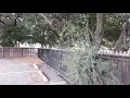 Dealey Plaza Dallas TX behind the picket fence and grassy knoll JFK assassination
