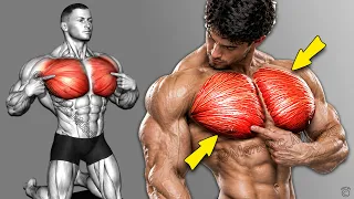 FULL CHEST WORKOUT 💥 Upper • Middle • Lower Pecs | Maniac Muscle