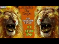 Lagu Jungle ke Raja rmx by dj sourabh kewat navratri special dj grsm jbp