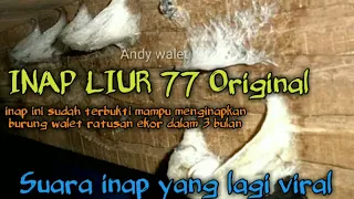 Download suara inap raja liur 77 ORIGINAL inap terbaik  andi sufar/ sufar sinar 77 MP3