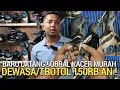 Download Lagu PASAR BURUNG ! OBRAL KACER MURAH BEBAS PILIH DEWASA/TROTOL DI PASAR BURUNG PRAMUKA HARI INI