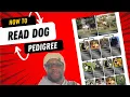 How To Read A Dogs Pedigree