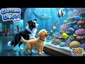 Dog Cartoon for Busy Pet Parents Keep your Dog happy when home alone Musical Cartoon for Dogs