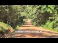 59-Acre Income-Producing Farm in Coffee Springs Alabama