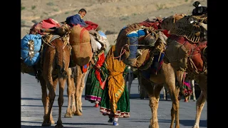 Biya Kade Baare Gi بيا کډې باريږي 