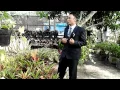Download Lagu Husaini - 100 Persen Salah